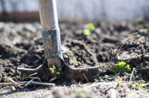 Caregiving and gardening