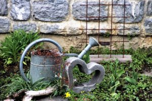 A watering can and a heart, highlighting the idea of self-care