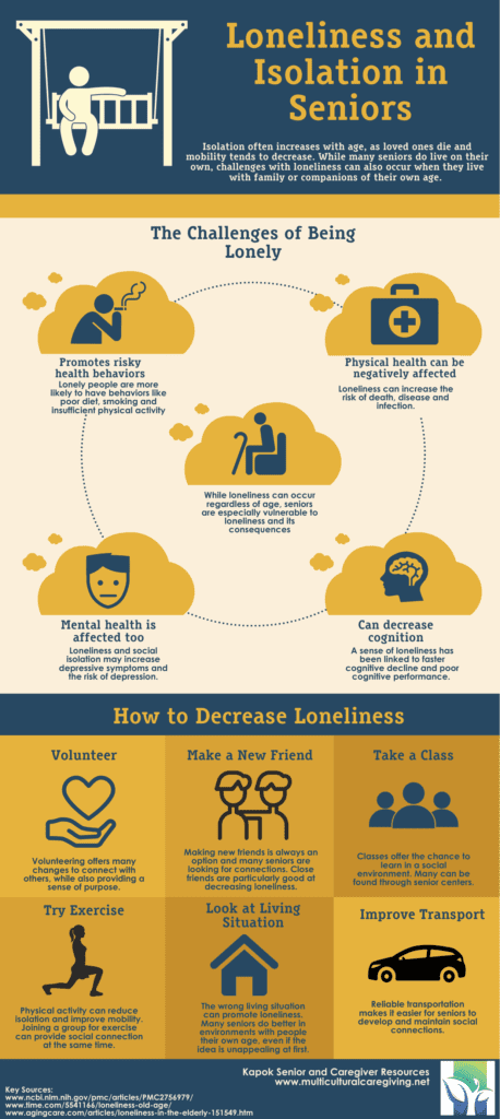 An infographic highlighting the challenges of loneliness and isolation in seniors.