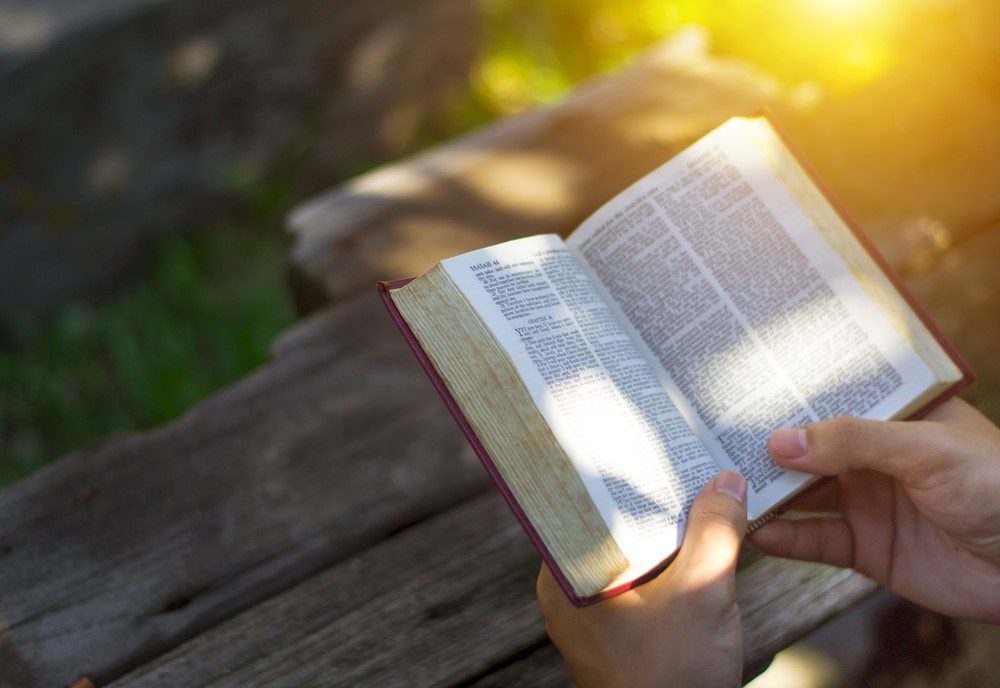 Someone sitting outside reading a Bible, looking at bible verses for caregivers