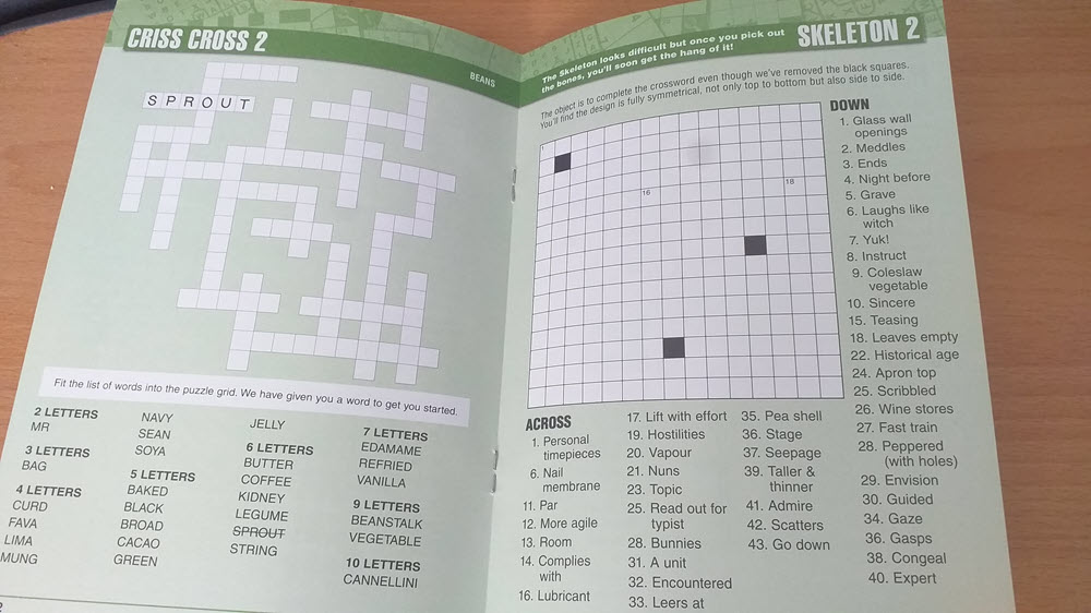 An example of an activity book for seniors