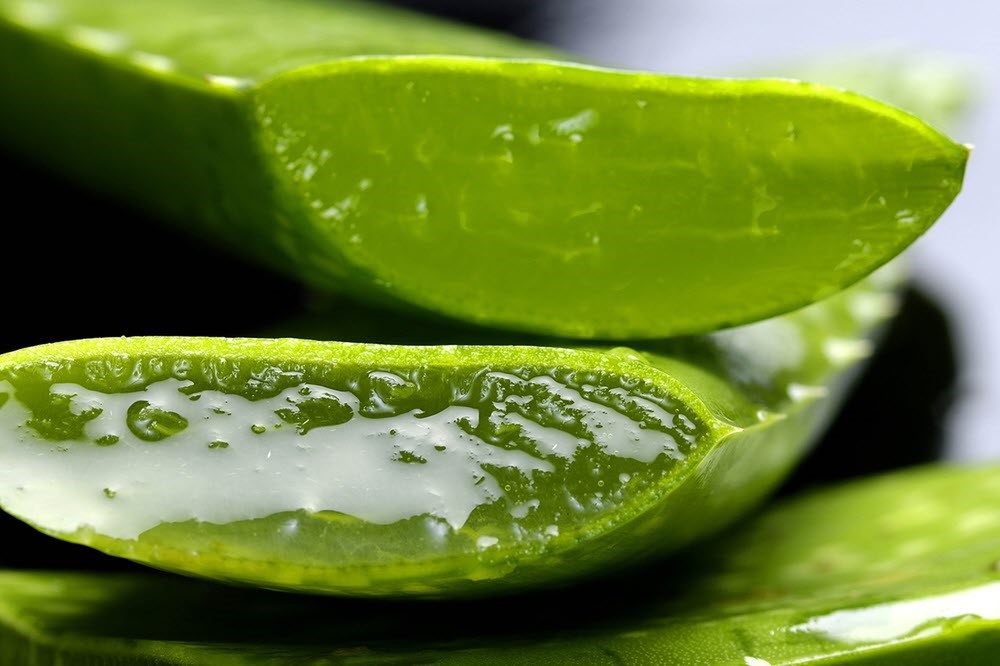 A piece of aloe that has been cut to show the gel like interior