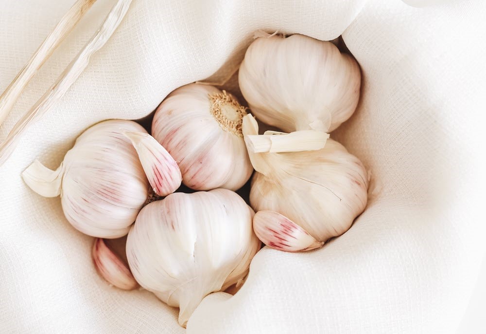 Garlic on a white cloth