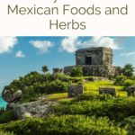 A fort on a hill with plenty of greenery, looking at the idea of Mayan and Mexican foods and herbs