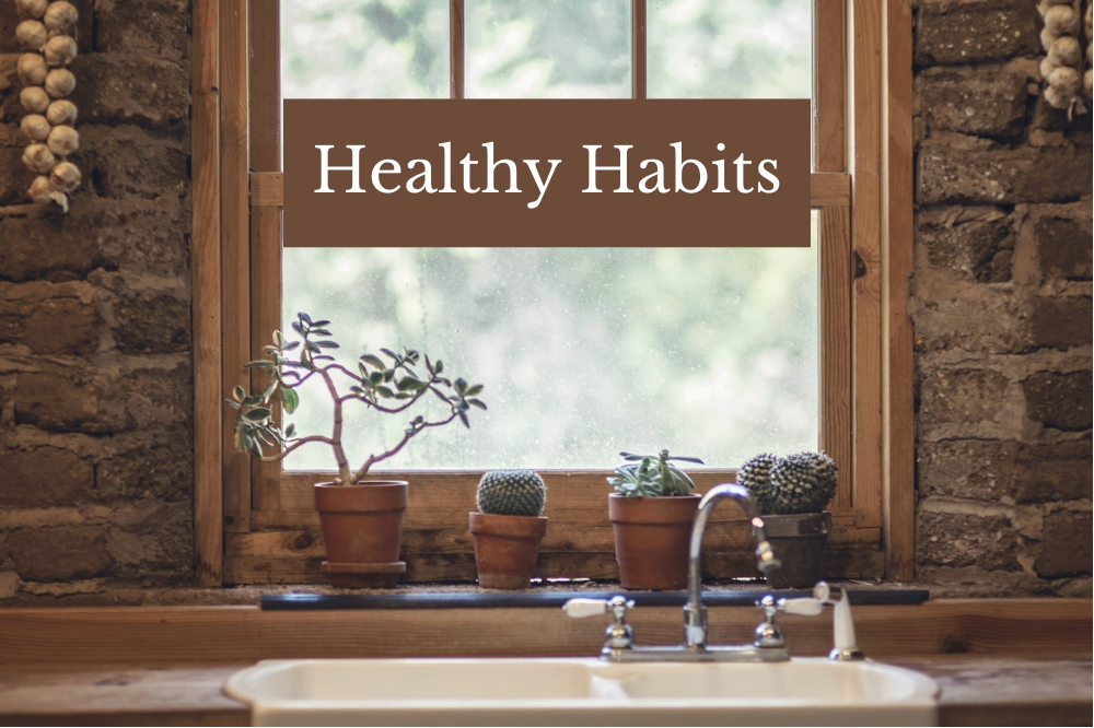 A beautiful kitchen looking at the window, highlighting the idea of healthy habits and habit tracking apps for caregivers