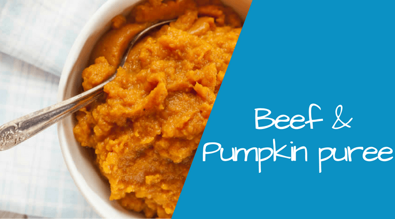 A white dish that contains pureed beef with pumpkin