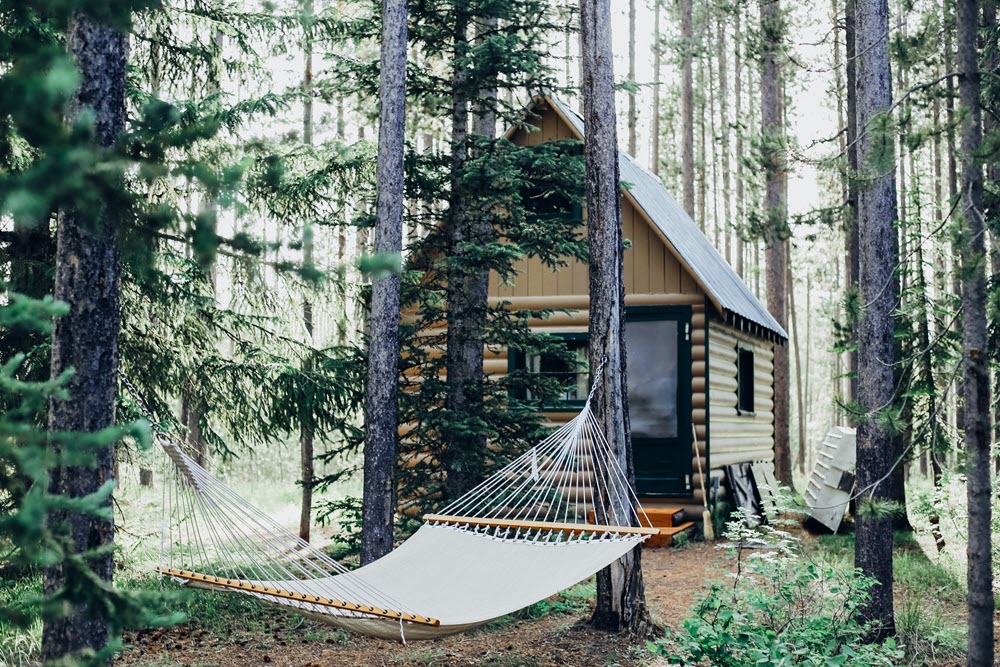 A small cabin next to a hammock, highlighting the power of caregiver retreats